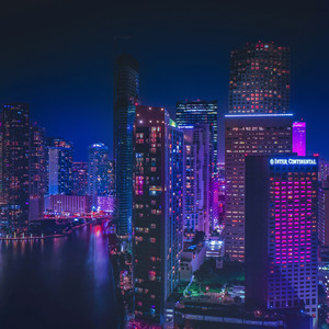 Midnight in Palm City