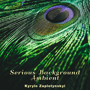 Kyrylo Zaplotynskyi — Serious Background Ambient