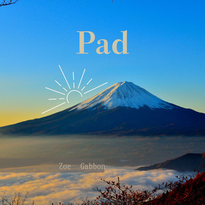 Pad by Zoe Gabbon