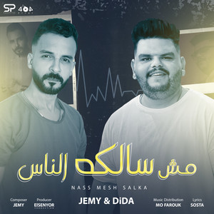 مش سالكة الناس