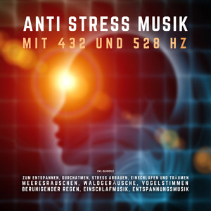 ANTI STRESS MUSIK mit 432 Hz und 528 Hz zum Entspannen, Durchatmen, Stress abbauen, Einschlafen und Träumen (XXL-Bundle) [Meeresrauschen, Waldgeräusche, Vogelstimmen, Beruhigender Regen, Einschlafmusik, Entspannungsmusik]