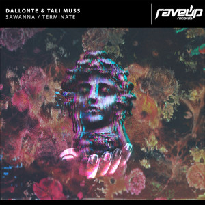 Dallonte cover