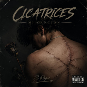 cicatrices by el roger