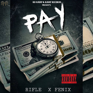 Fenix — Pay