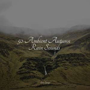 50 Ambient Autumn Rain Sounds album