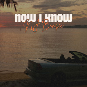 Now i Know by NJ bonsic