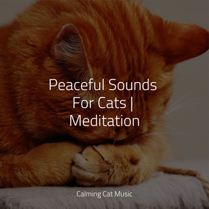 Peaceful Sounds For Cats | Meditation album