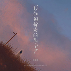 我知道你走的很辛苦 by 赵薇薇