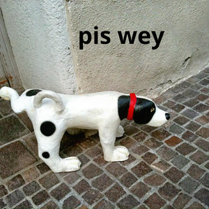 pis wey by mario floow