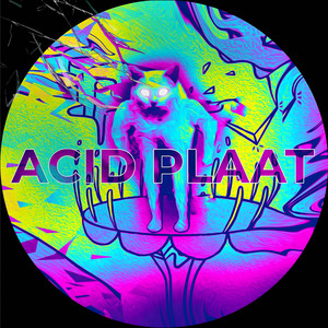 Acid Plaat by DIKKE BAAP, Krabi