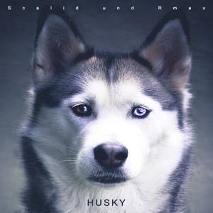 HUSKY by Scalid, Rmax