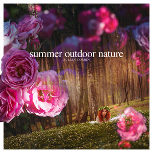 Summer Garden Bird Life by Julian Corbin