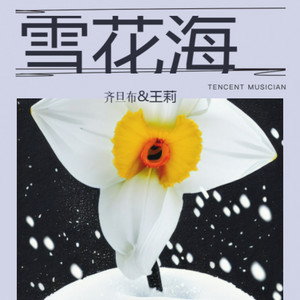 雪花海 by 齐旦布