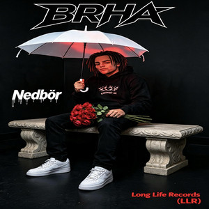 Nedbør by BRHA