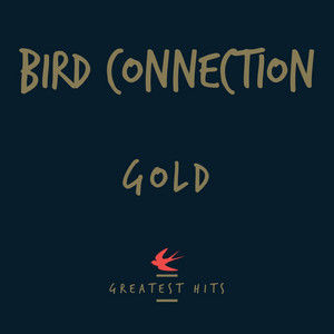 Across the Ocean by Bird Connection