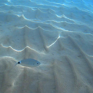 Descent Into Blue by Mar Pareja