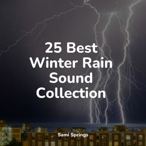 25 Best Winter Rain Sound Collection album