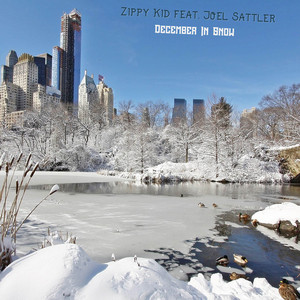 December In Snow