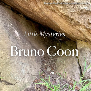 Bruno Coon poster