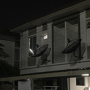 chainspd - เกิดจากดินโตที่ทราย