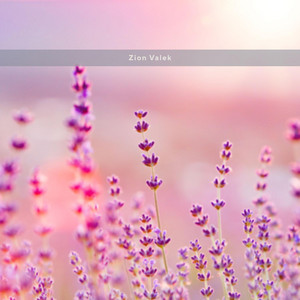 Concrete Bloom by Zion Valek