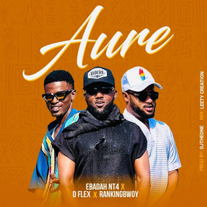 NT4 - Aure (feat. D Flex & Rankingbwoy)