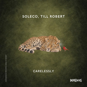 Carelessly by SOLECO, Till Robert
