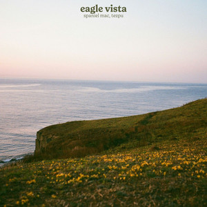 eagle vista by Spaniel Mac, tezpu