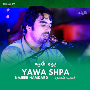 Najeeb Hamdard - Yawa Shpa