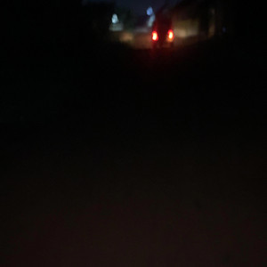 Lee_Rane - Scrap dragon