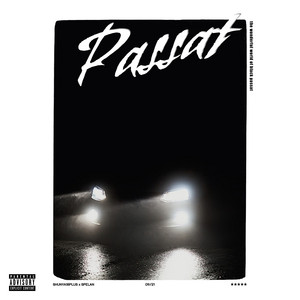 Passat by shunya18plus, SPELAN