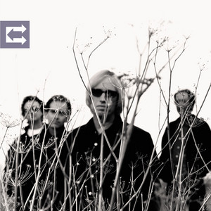 Rhino Skin by Tom Petty and the Heartbreakers