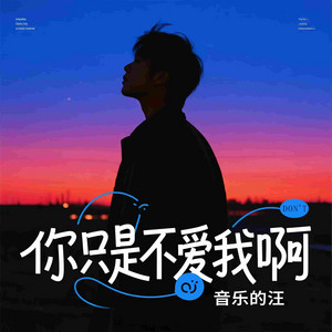 你只是不爱我啊 by 音乐的汪