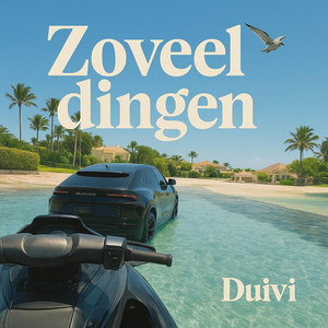 Zoveel dingen by Vlinderscrime, Duivi