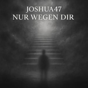 NUR WEGEN DIR by Joshua47