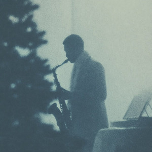Vintage Pines by Polar Bar