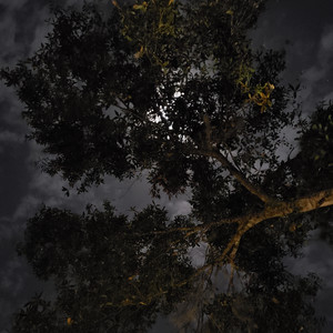 Michael Patto photo