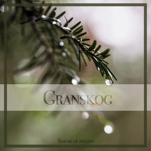 Granskog