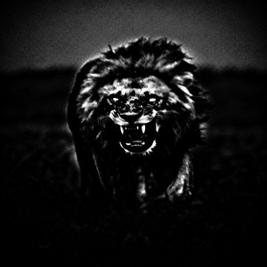 FEAR NOTHING - SPED UP by RXXTLESS