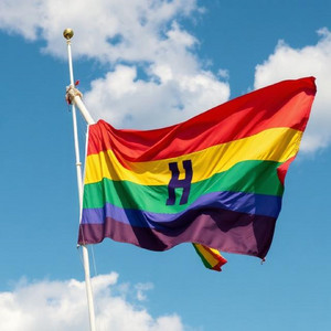 Your Pride by Porno Dummies