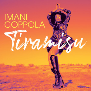 Don't Wanna Think About It by Imani Coppola