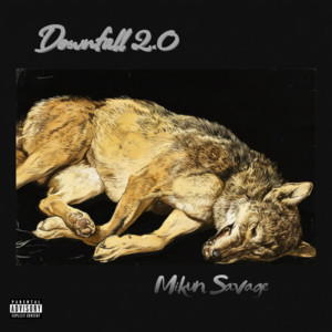 Downfall 2.0 by Mikun Savage