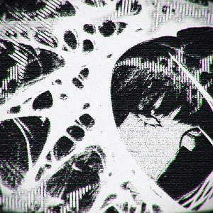 echoespace - slowed by cqz