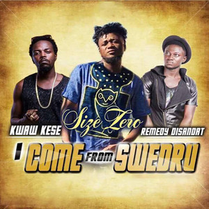 Size Zero - Come From Swedru (feat. Kwaw Kese & Remedy Disandat)