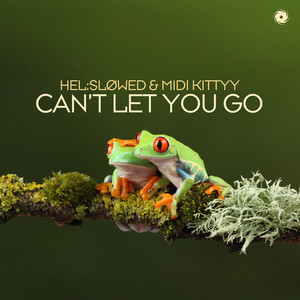 MIDI Kittyy — Can’t Let You Go (2026)