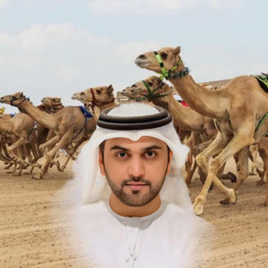 غارات الهجن - الماسي by محمد الماسي