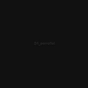 24_perrofiel by Valeria Canavati