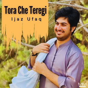 Ijaz Ufaq - Tori Stargi