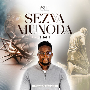 Sezvamunoda by Tawanda Tehillah Midzi