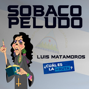 Luis Matamoros - Ya Apareció el HP